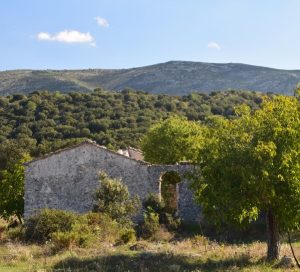 Masos de capaimona