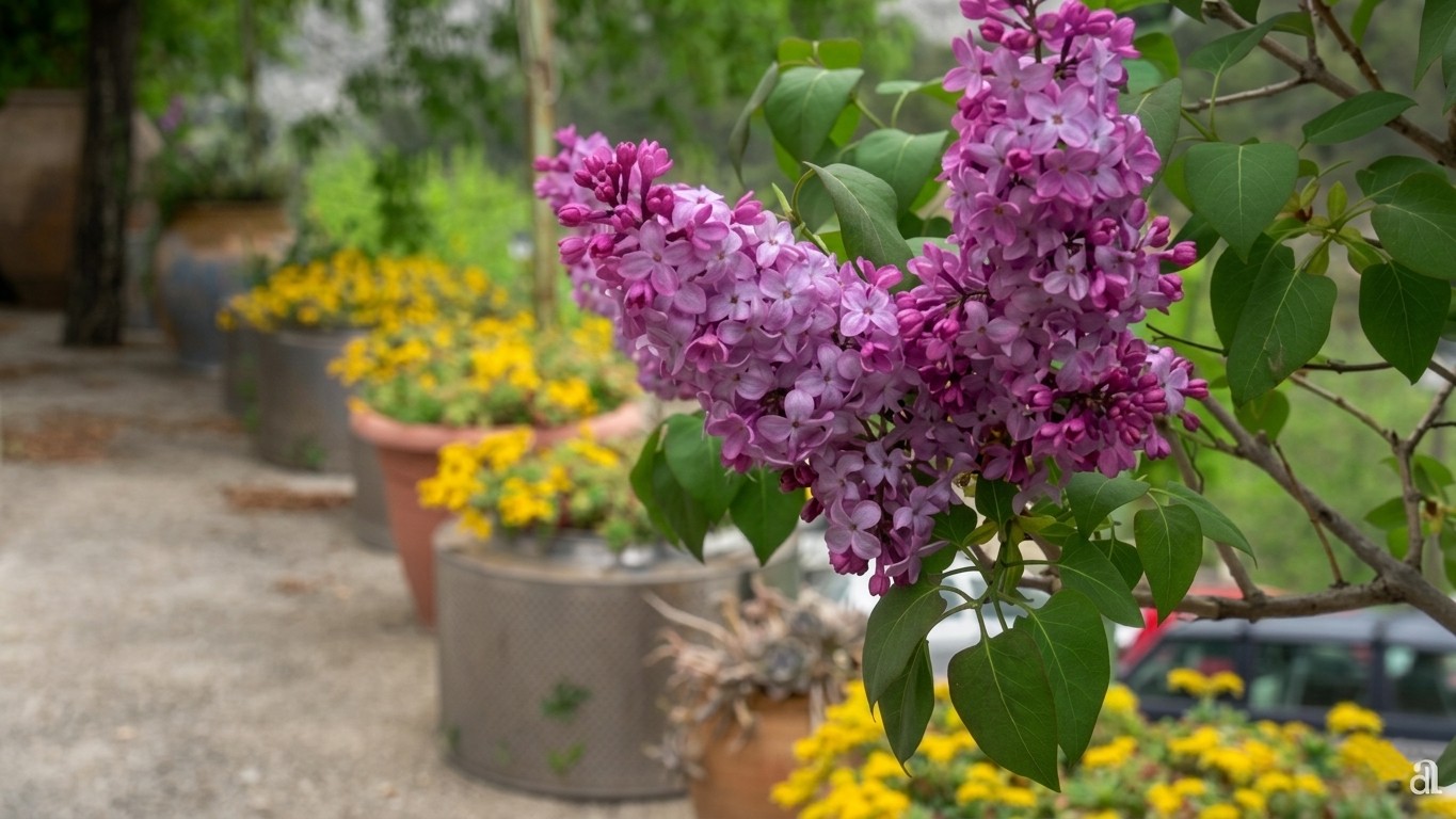 Imagen del establecimiento